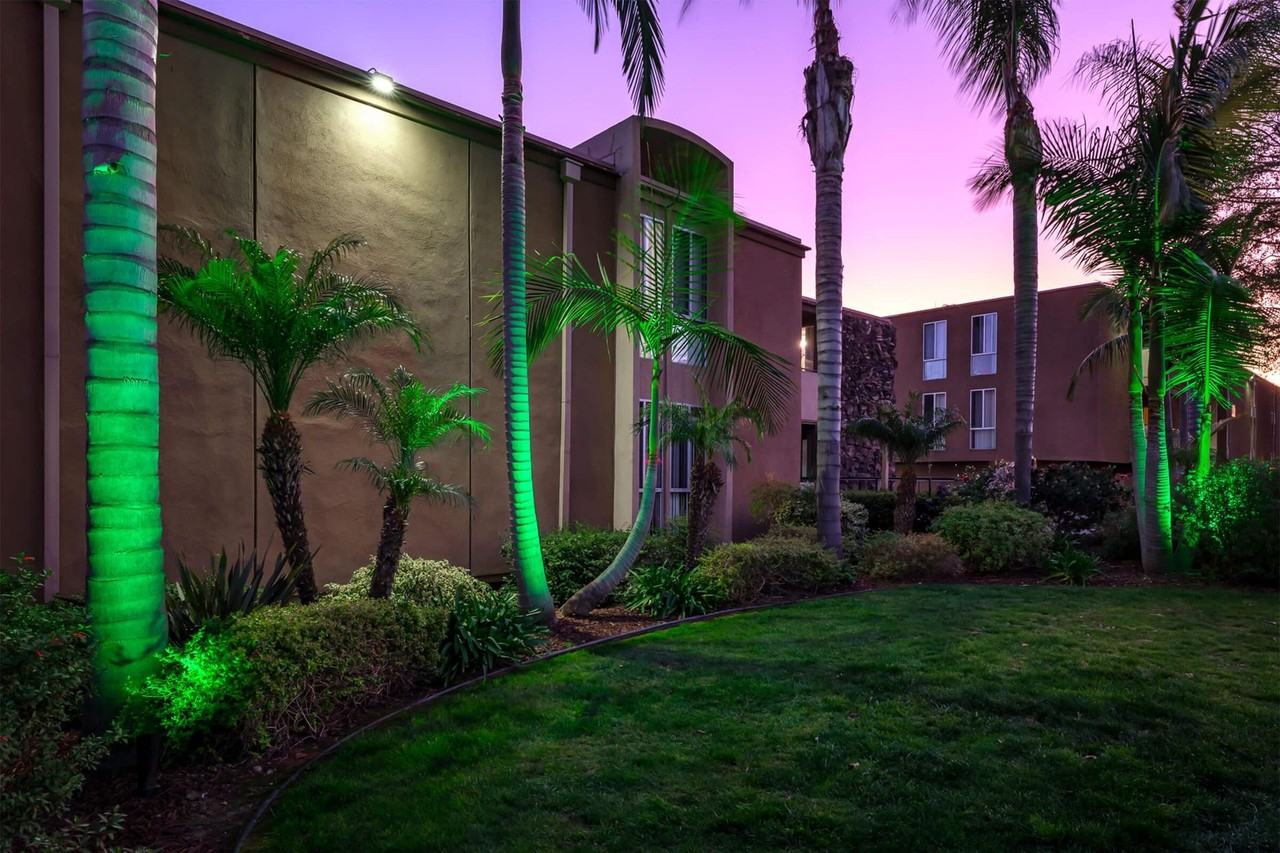 Dorchester Apartments | Spacious 1 & 2 Bedroom Apartments Near SDSU - Photo 2 of 50