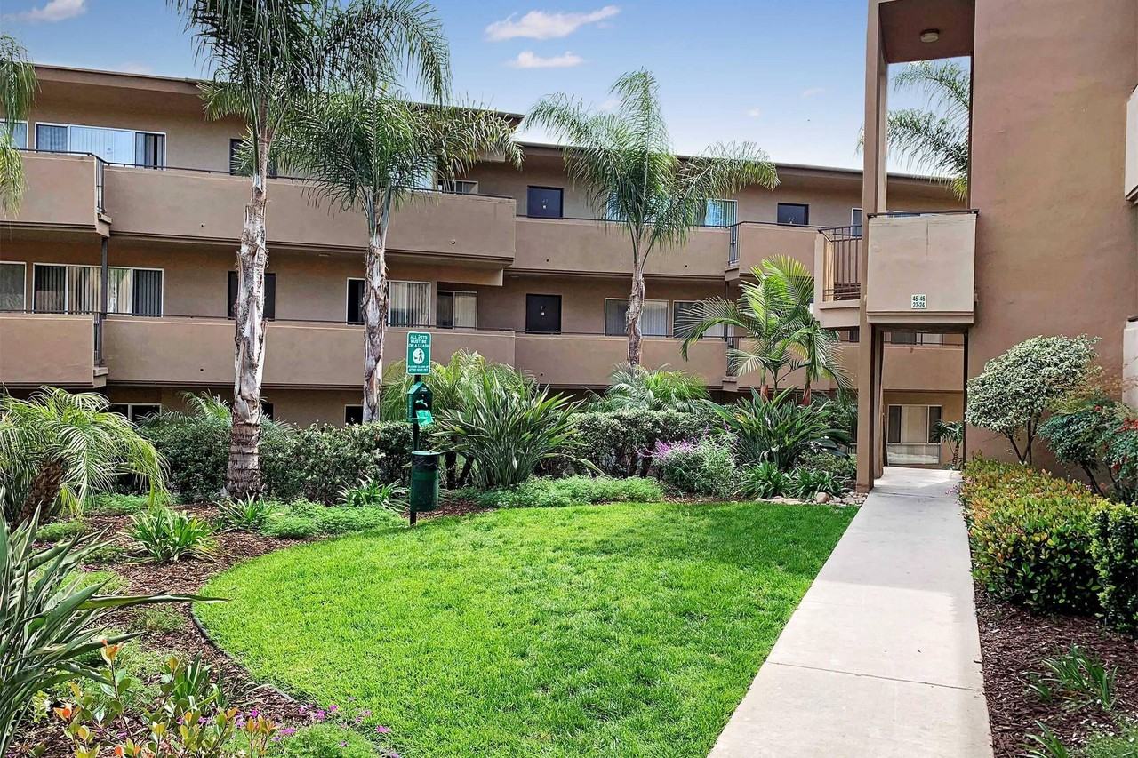 Dorchester Apartments | Spacious 1 & 2 Bedroom Apartments Near SDSU - Photo 3 of 50