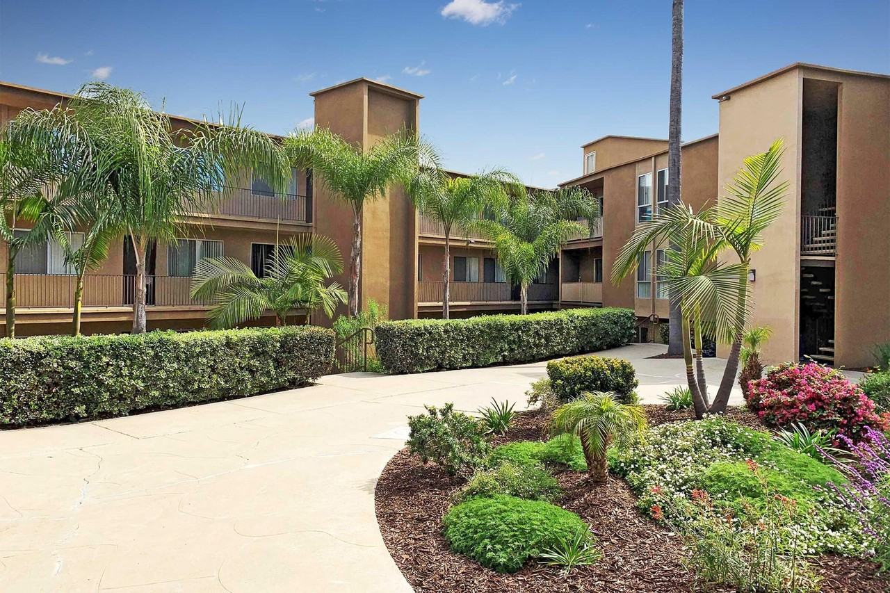 Dorchester Apartments | Spacious 1 & 2 Bedroom Apartments Near SDSU - Photo 4 of 50