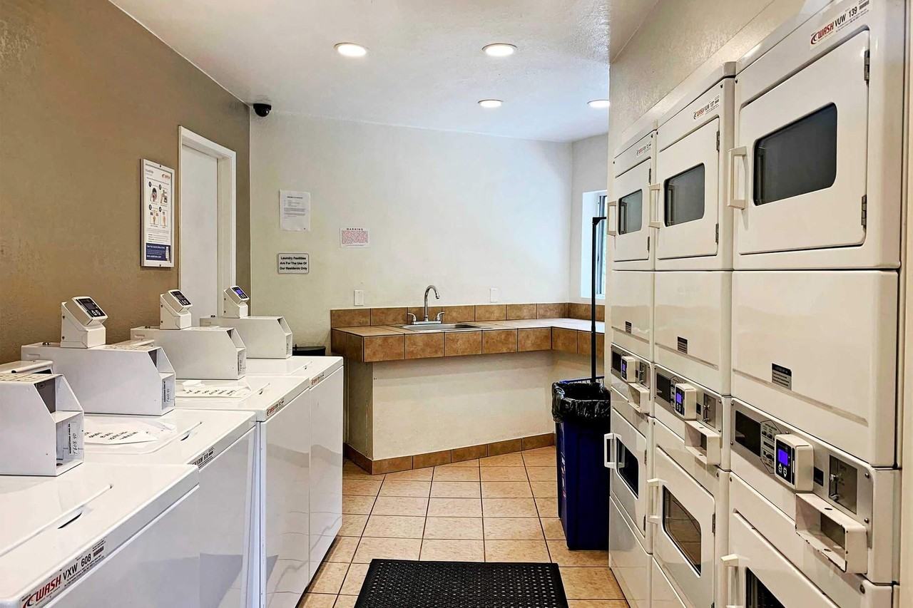 Dorchester Apartments | Spacious 1 & 2 Bedroom Apartments Near SDSU - Photo 6 of 50
