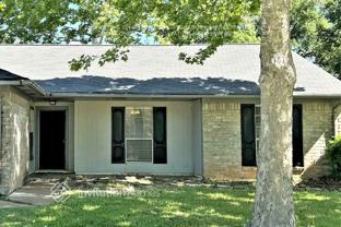 1810 Runaway Scrape Ct - Photo 1 of 1