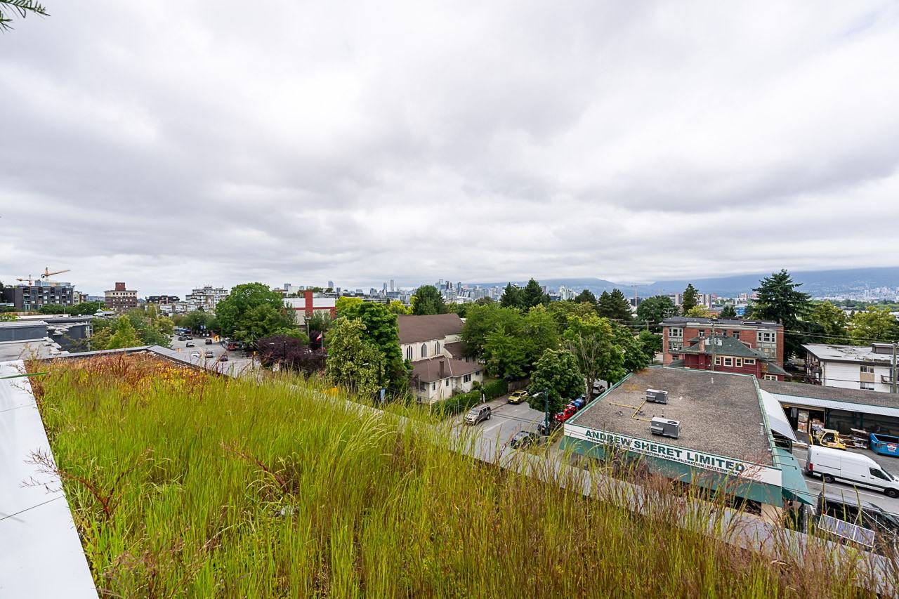 2520 Guelph Street - Photo 31