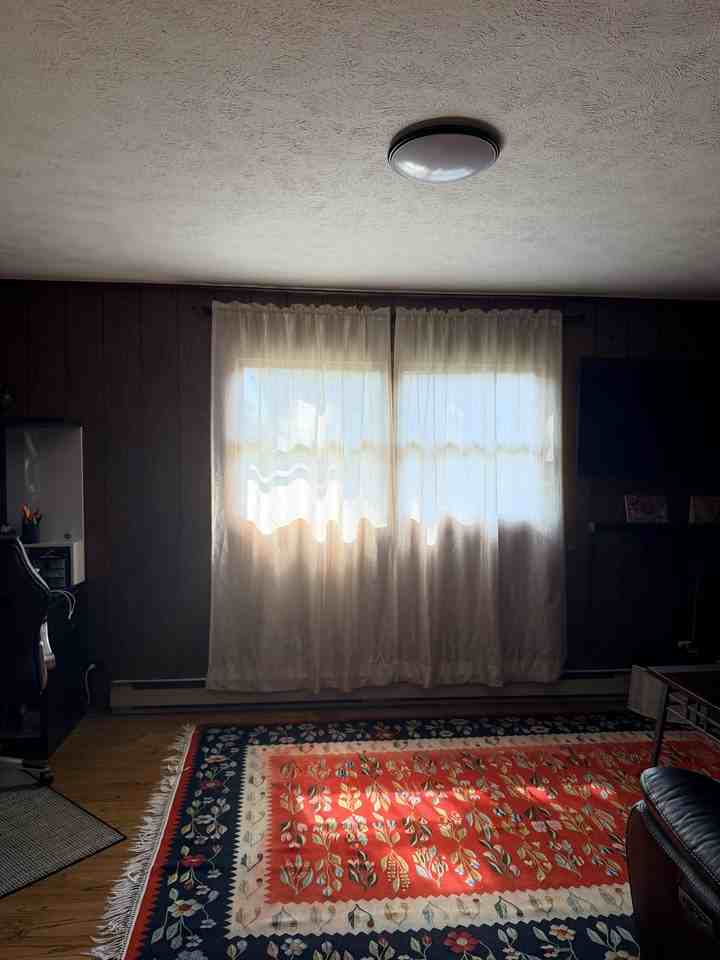 203 Willow Ln #NA - Photo 2 of 17