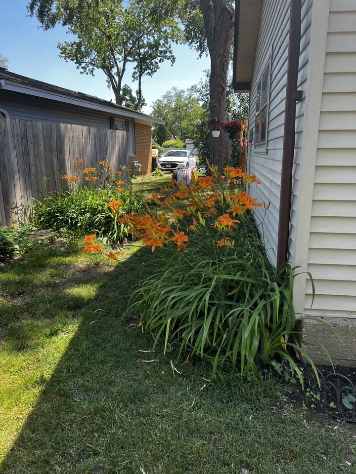 203 Willow Ln #NA - Photo 7 of 17