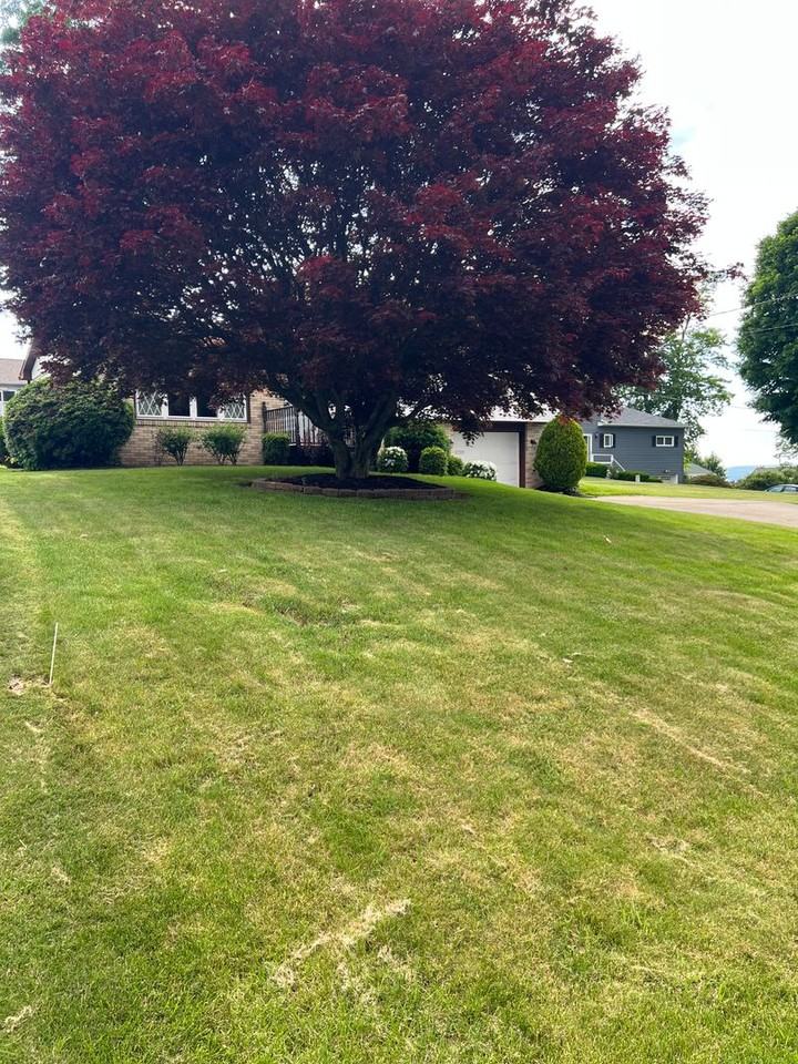 916 Hornick St - Photo 4 of 30
