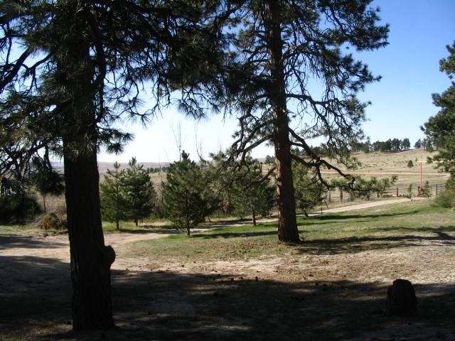 19955 Warriors Path Dr - Photo 6 of 8