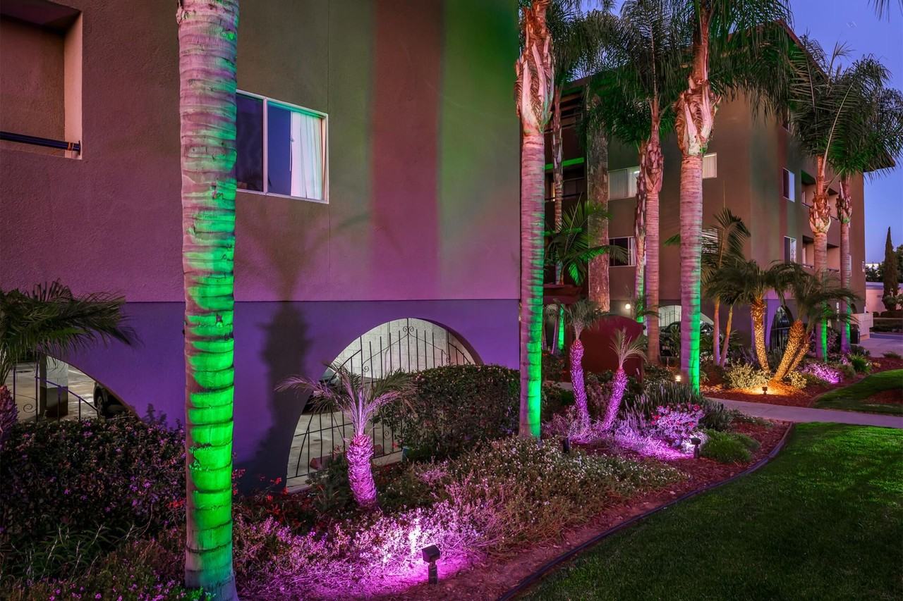 Penthouse Apartments | Spacious 1 & 2 Bedroom Apartments Near SDSU - Photo 3 of 50