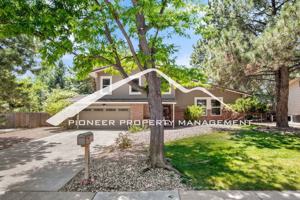 featured image of 223 Dolomite Dr