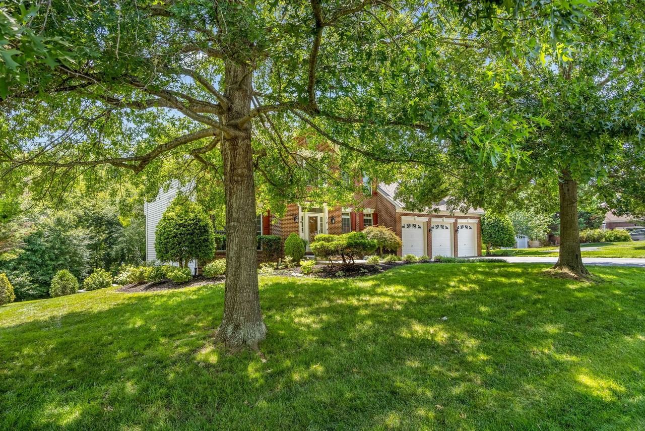 26 Kirby Ln - Photo 4 of 50