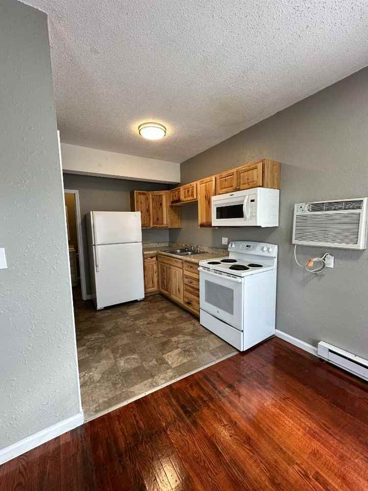 103 S Green St - Photo 6 of 13