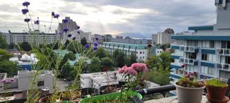 Cambie St. & W 12th Ave - Photo 1 of 1