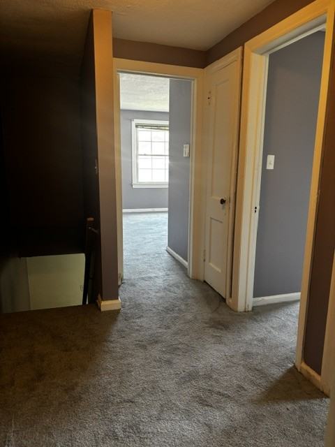 1931 Ewald Cir #1 - Photo 4 of 36