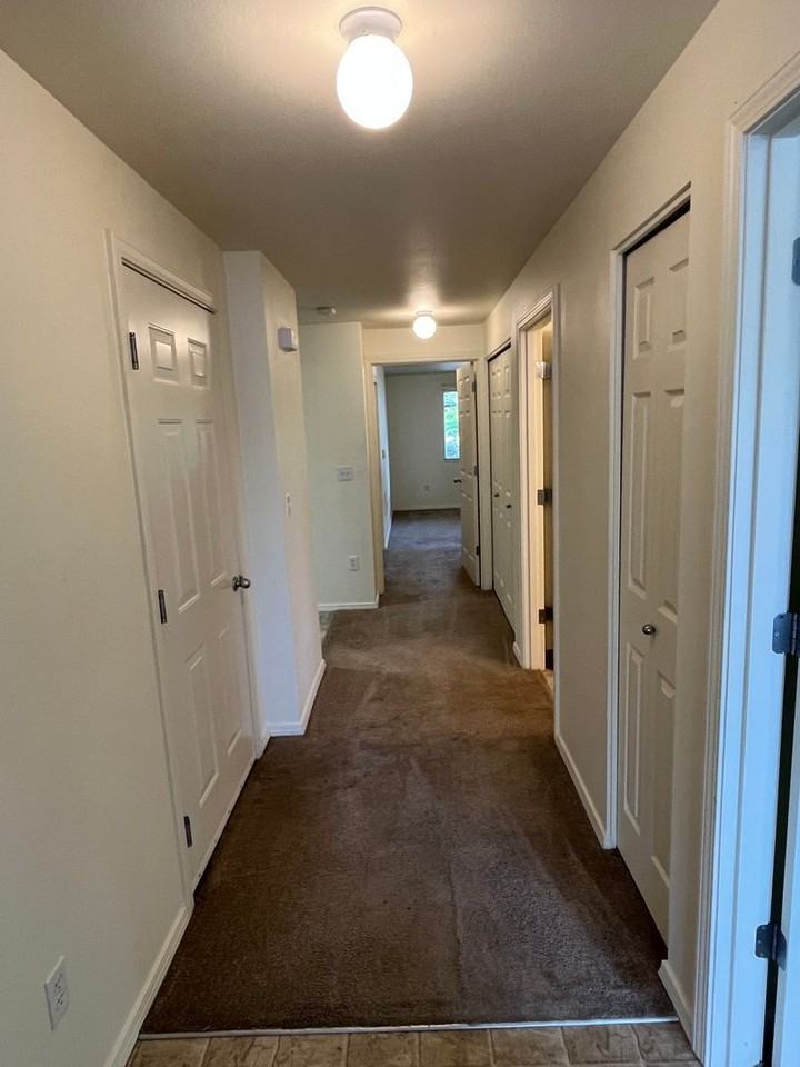 Lancaster Gardens - Photo 3 of 17