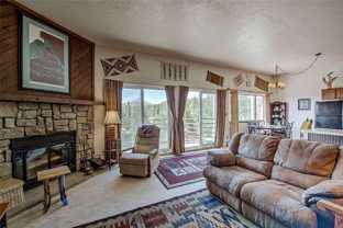9800 Ryan Gulch Rd - Photo 1 of 1
