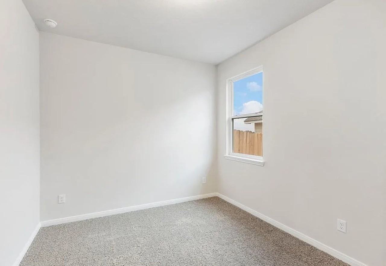 4783 Native Tree Ln - Photo 4 of 17
