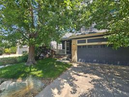 featured image of 1124 Mulberry Ln