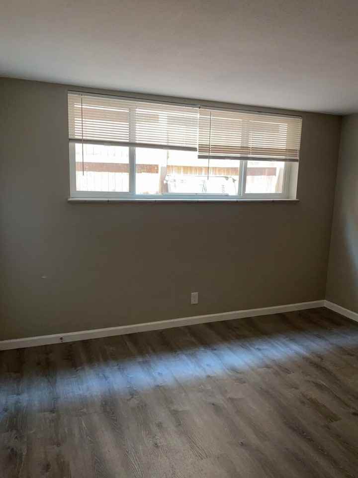 2339 S Race St - Photo 4 of 10