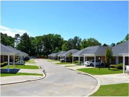 featured image of Paula Dr