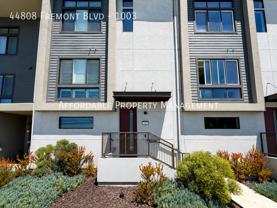 44808 Fremont Blvd #1003 - Photo 1 of 1