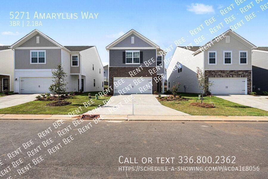 5271 Amaryllis Way - Photo 4 of 21
