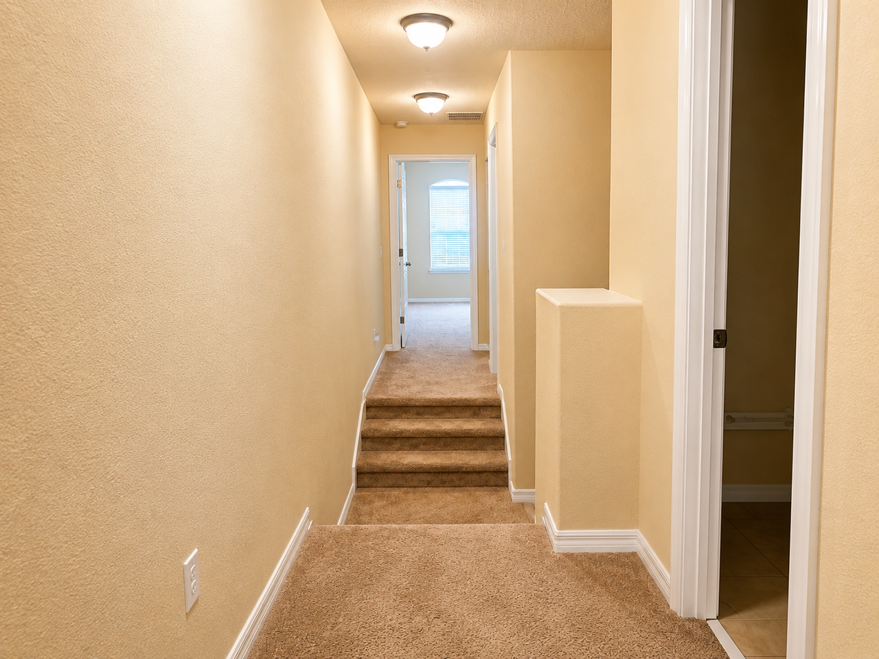 9551 Silver Buttonwood St - Photo 6 of 14
