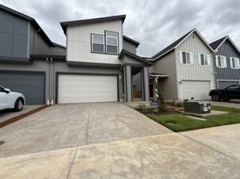 featured image of 23786 Sw Black Tortoise Ter