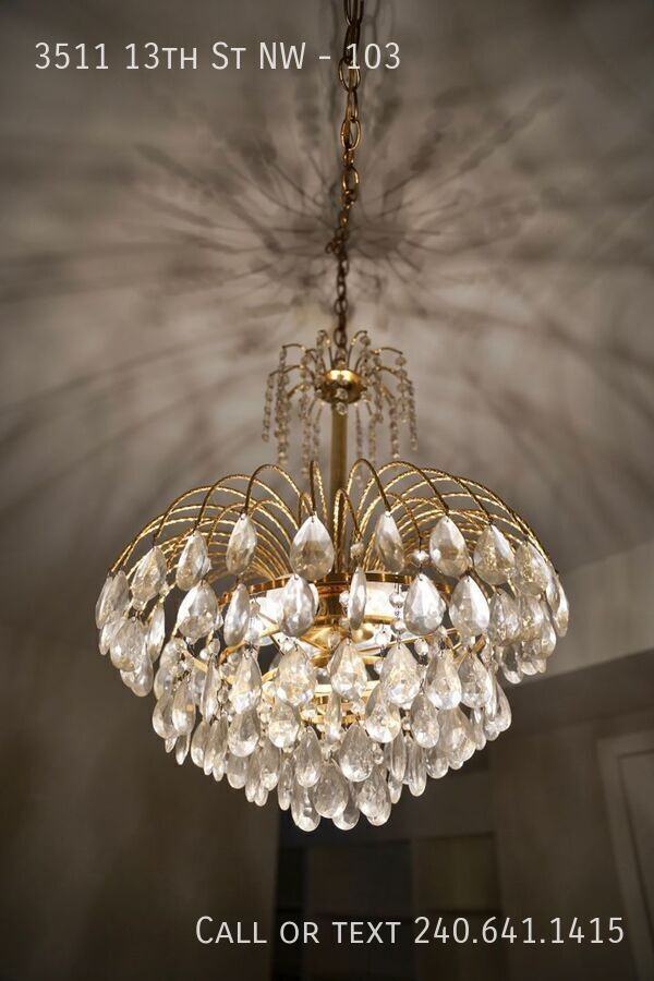 3511 13th St Nw #103 - Photo 3 of 9