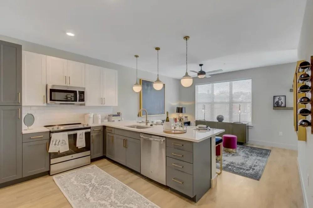 111 W Davis St #2425 - Photo 5 of 20