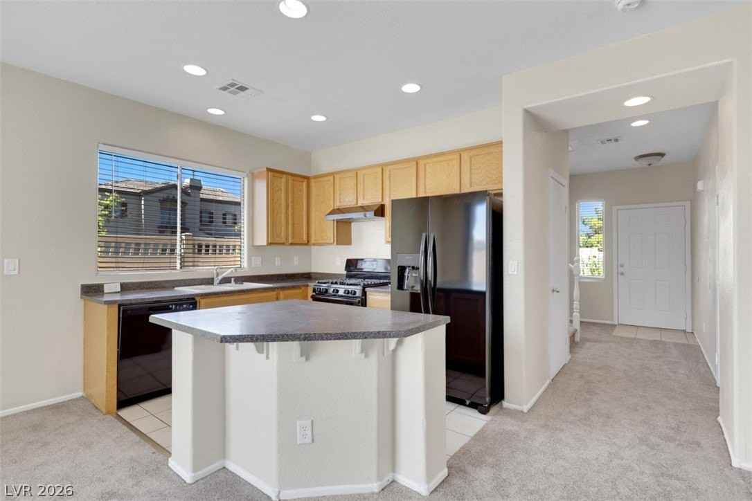 6324 Aloha Sue St - Photo 3 of 18