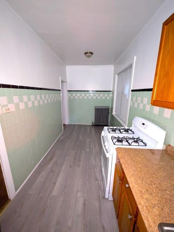 1703 W North Shore Ave - Photo 4 of 8