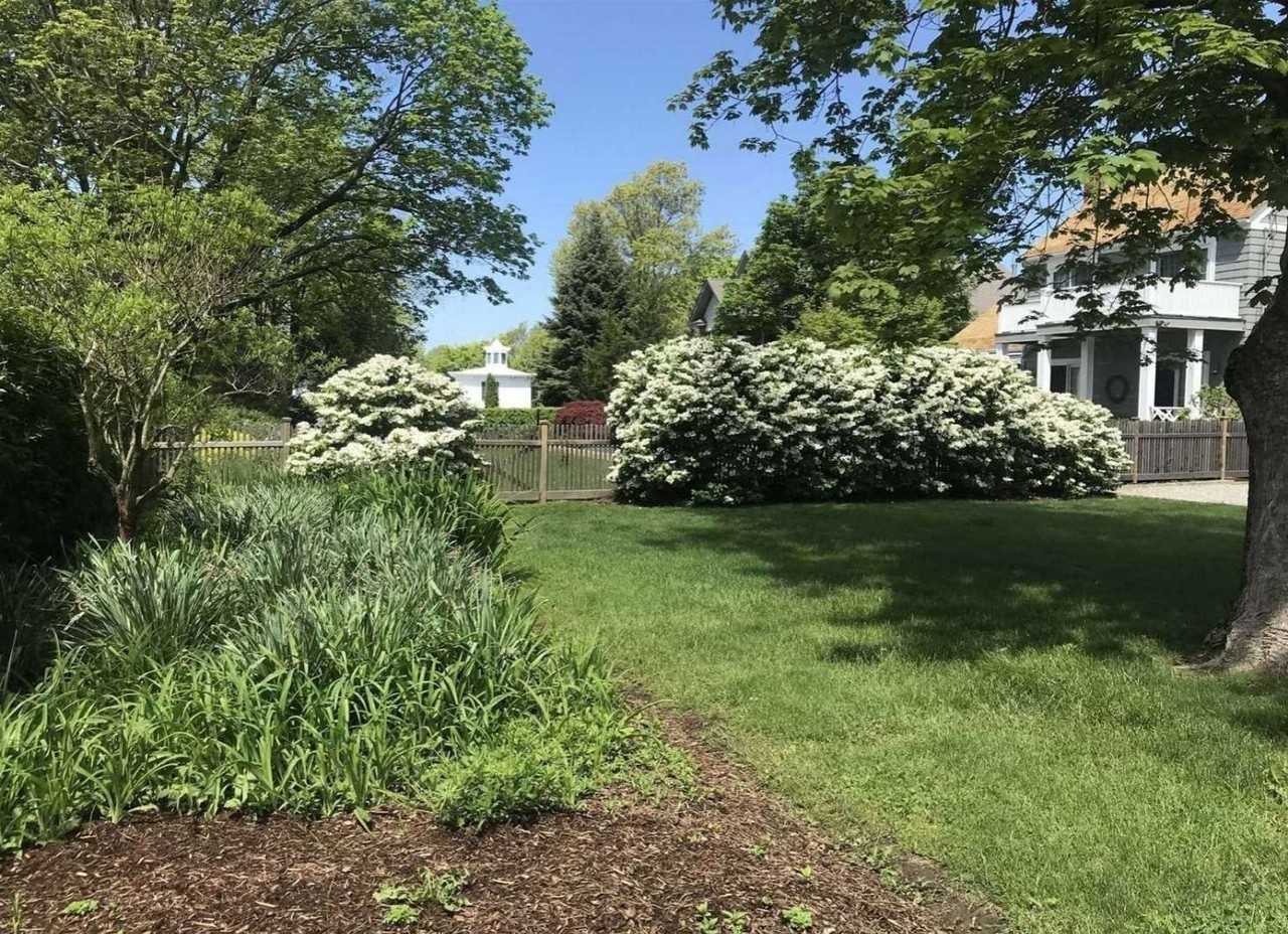 260 Orchard St - Photo 4 of 14
