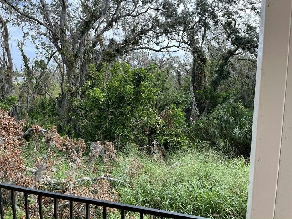 3317 Caper Ct #0149 - Photo 6 of 19