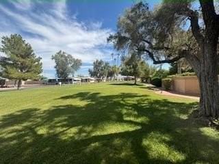 10960 N 67th Ave #0133 - Photo 3 of 10