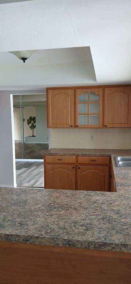 738 Flamingo Dr - Photo 4 of 15