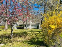 465 Tarpon Dr - Photo 1 of 1
