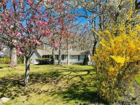 465 Tarpon Dr - Photo 1 of 1