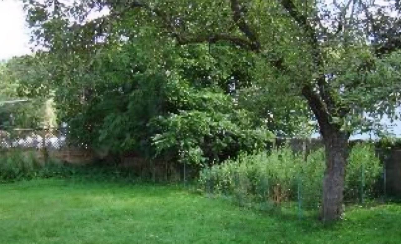 24 Jefferson Ave - Photo 2 of 11