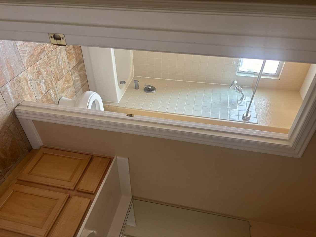 3316 Lacebark Pine St - Photo 5 of 23