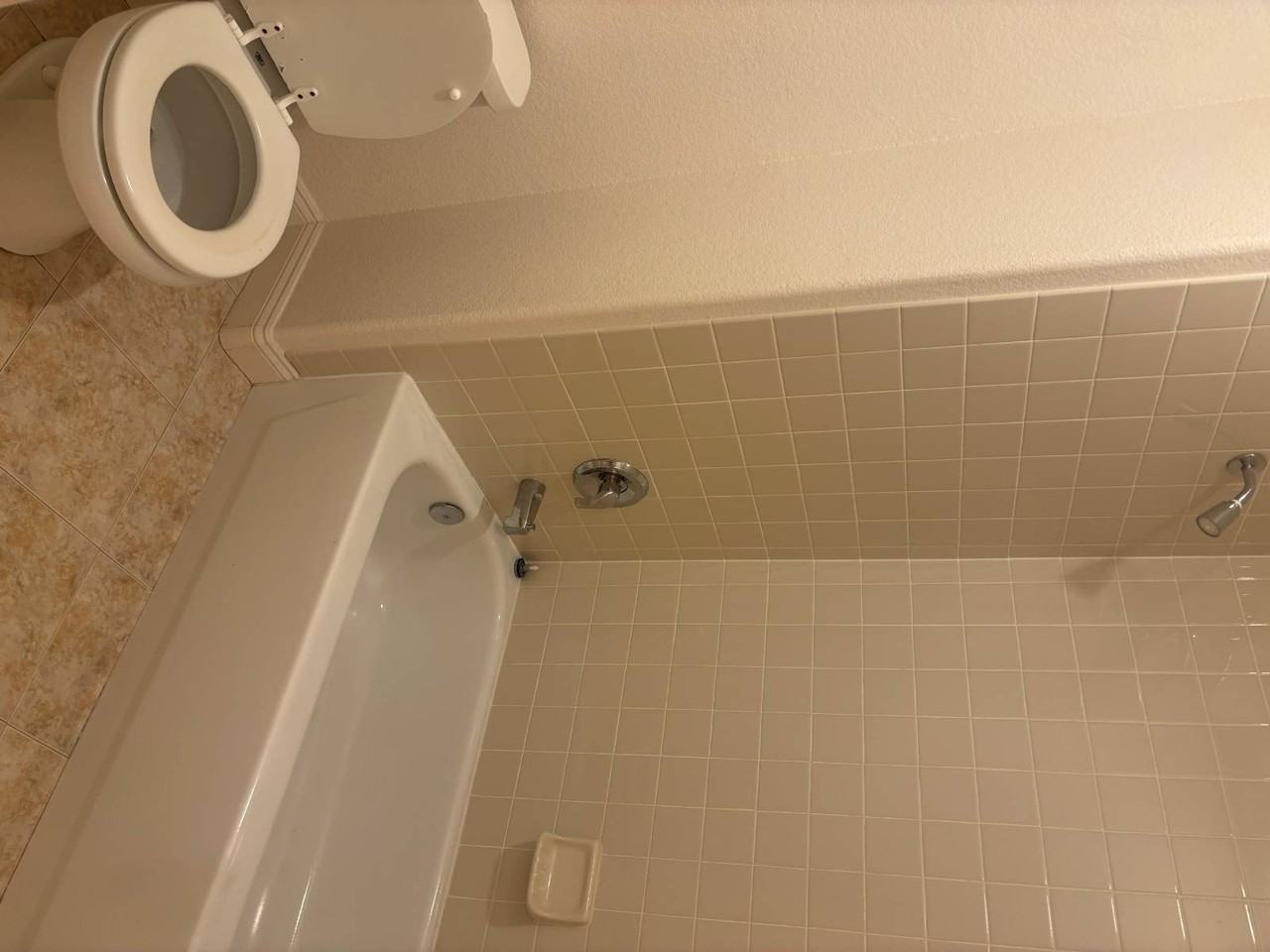 3316 Lacebark Pine St - Photo 6 of 23