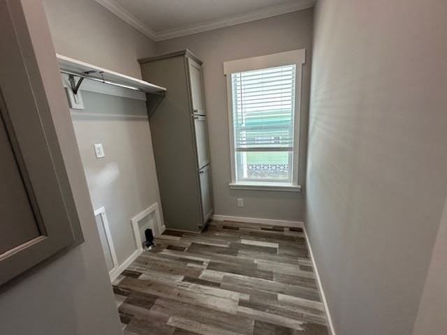 977 Montego E #0491 - Photo 5 of 13
