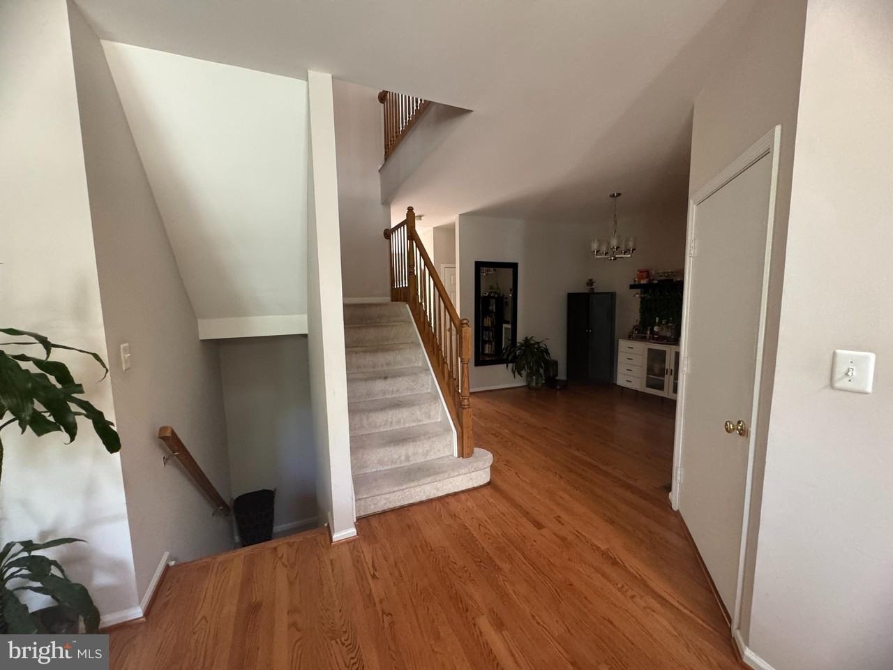 1338 Park Garden Ln - Photo 3 of 14