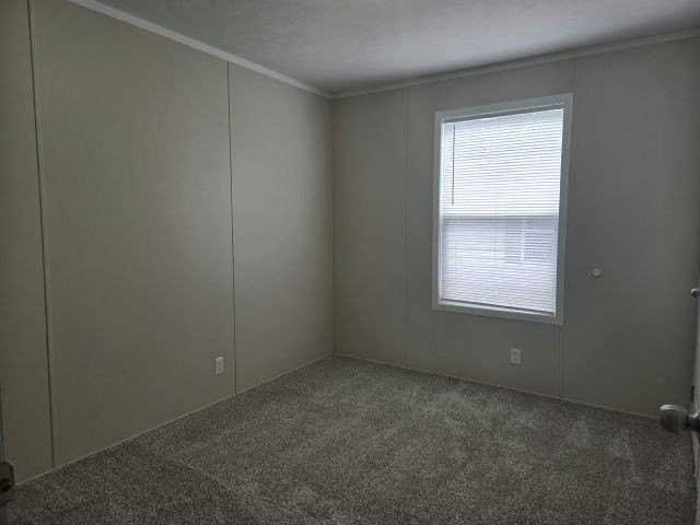 11417 5th St Ne #345 - Photo 5 of 6