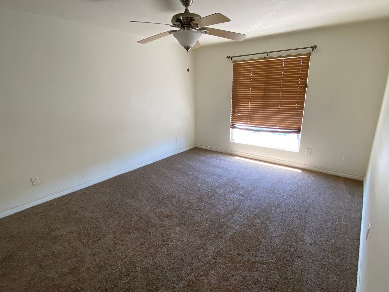 792 Avocado Ave - Photo 5 of 15