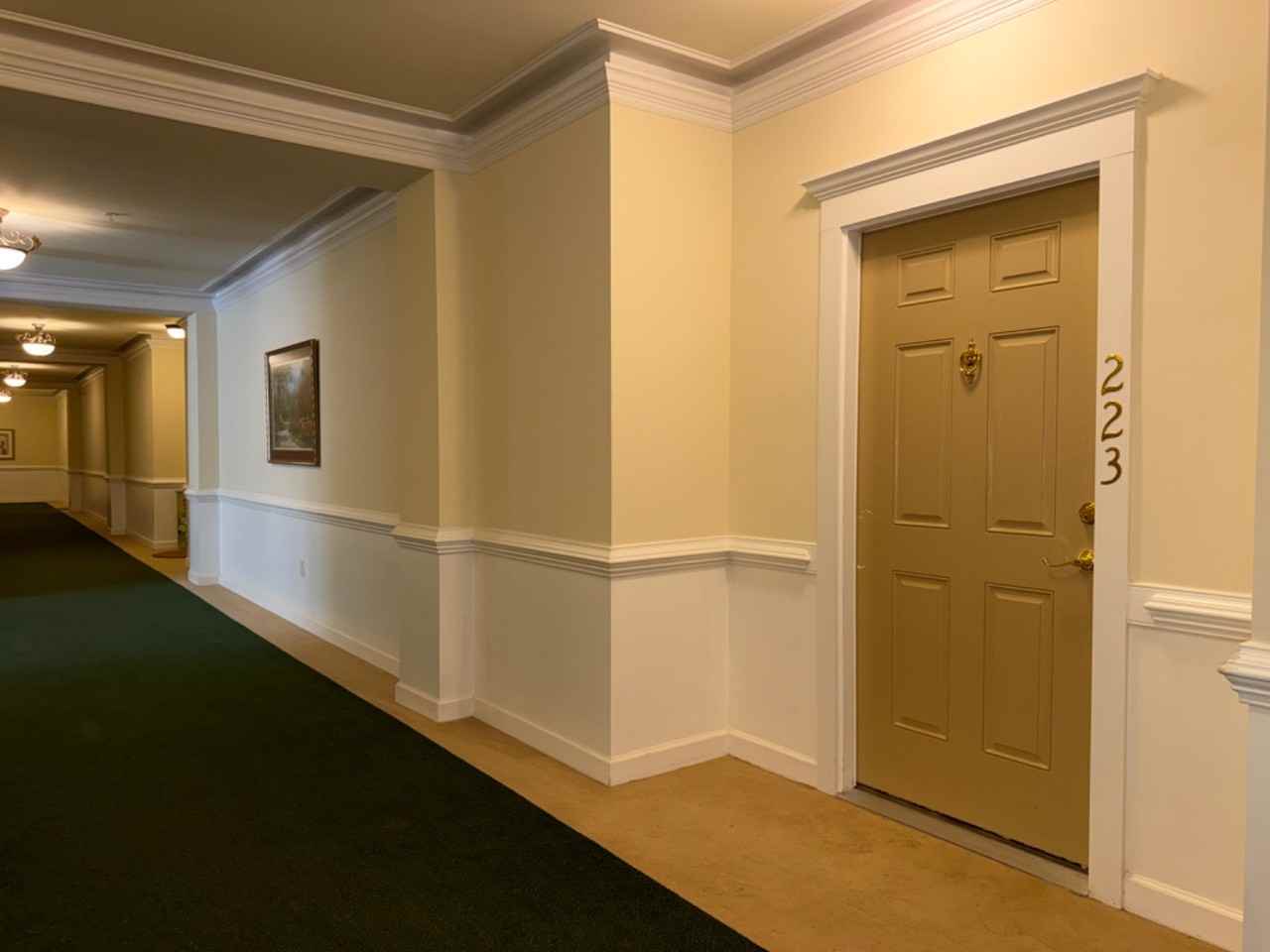 233 Eyam Hall Ln - Photo 3 of 16