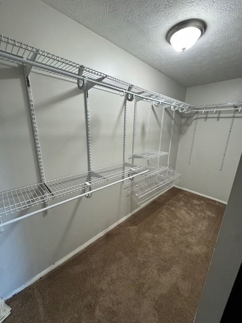 605 Tollis Pkwy #NA - Photo 7 of 10