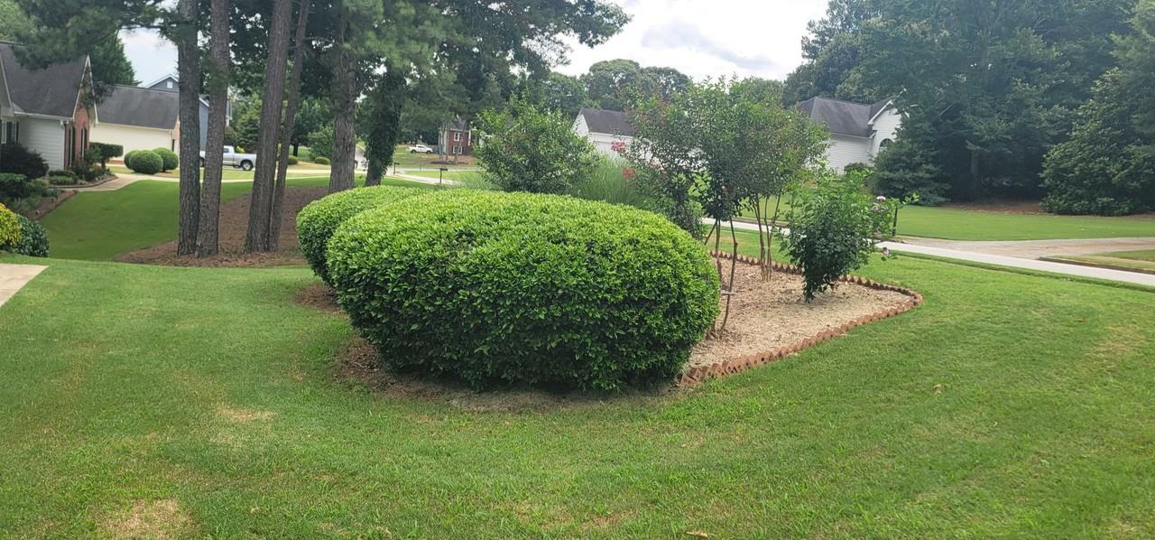 3072 Planters Mill Dr #B - Photo 3 of 20