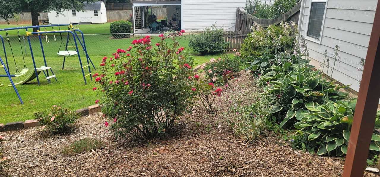 3072 Planters Mill Dr #B - Photo 5 of 20