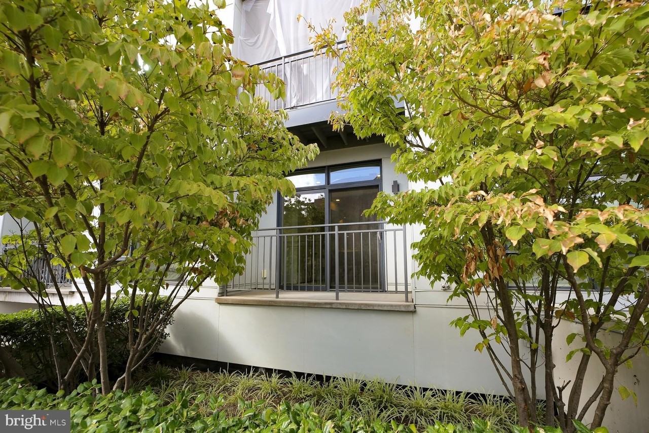 2337 Champlain St Nw #104 - Photo 2 of 29