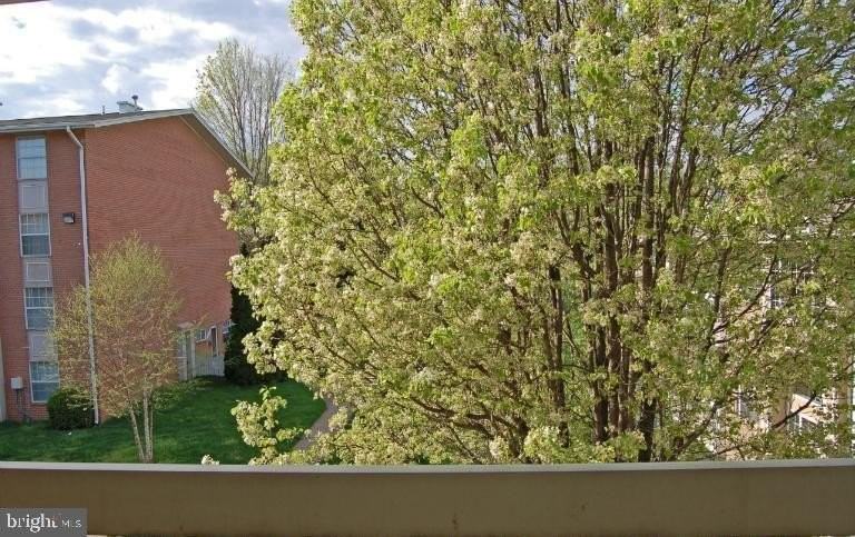 1933 Wilson Ln #301 - Photo 6 of 11