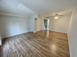 featured image of Wooster Dr